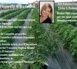 Cannabis Business/Property Advisor – Founder of 420estates.net