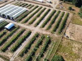 Picture Perfect Humboldt County Medical Permitted Farm For Sale