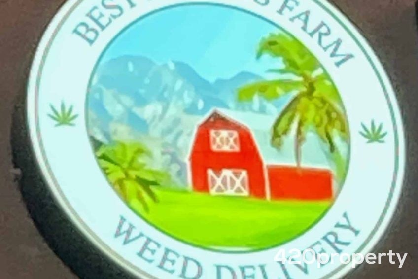 Cannabis Businesses For Sale | Cannabis Delivery Business For Sale