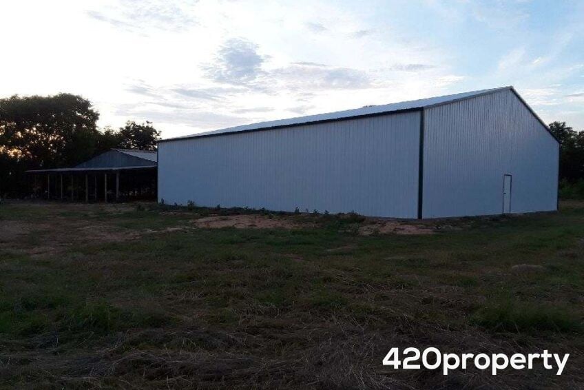 Cannabis Businesses For Sale | Cannabis Cultivation/ Grow Businesses For Sale