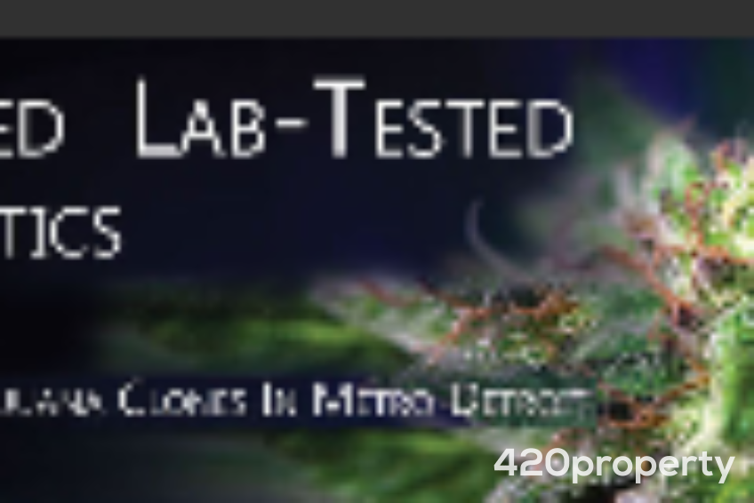 Cannabis Businesses For Sale | Cannabis Delivery Business For Sale