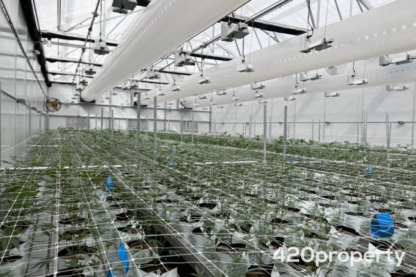 Cannabis Real Estate Listings | Cannabis Greenhouses For Lease