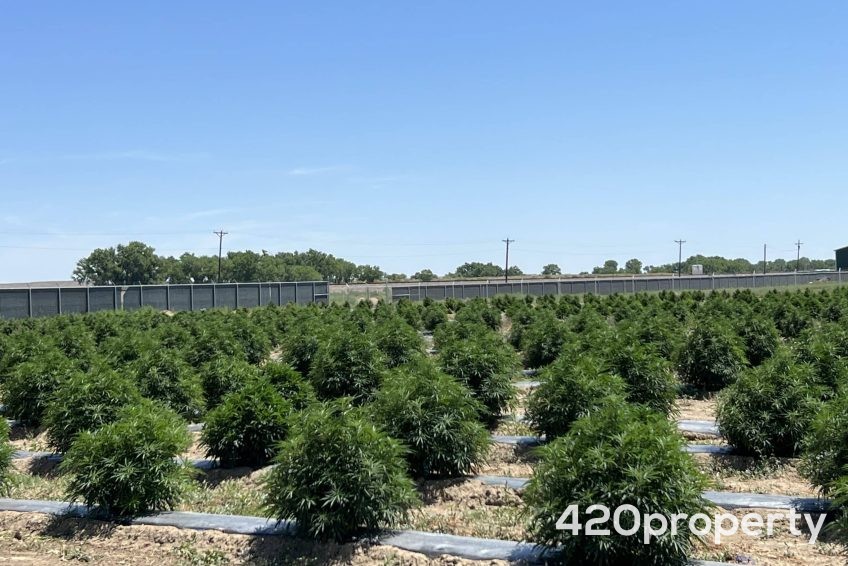 Cannabis Real Estate Listings | Other Commercial Properties for Cannabis Business Use For Sale