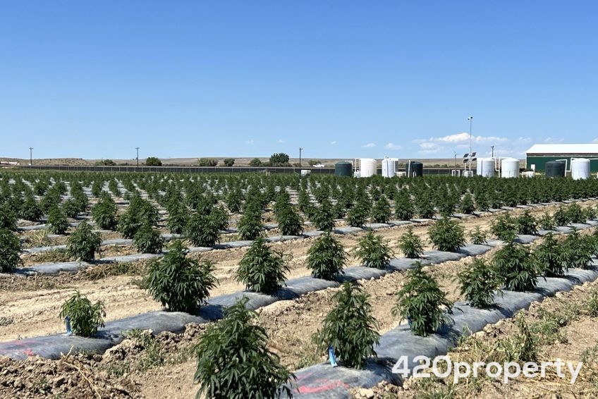 Cannabis Real Estate Listings | Other Commercial Properties for Cannabis Business Use For Sale