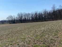 FIRST LARGE-SCALE APPROVED OUTDOOR CANNABIS FARM IN NJ