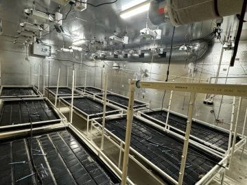 Turnkey Indoor Cultivation Opportunity