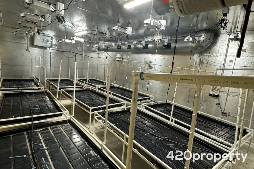 Cannabis Businesses For Sale | Cannabis Cultivation/ Grow Businesses For Sale