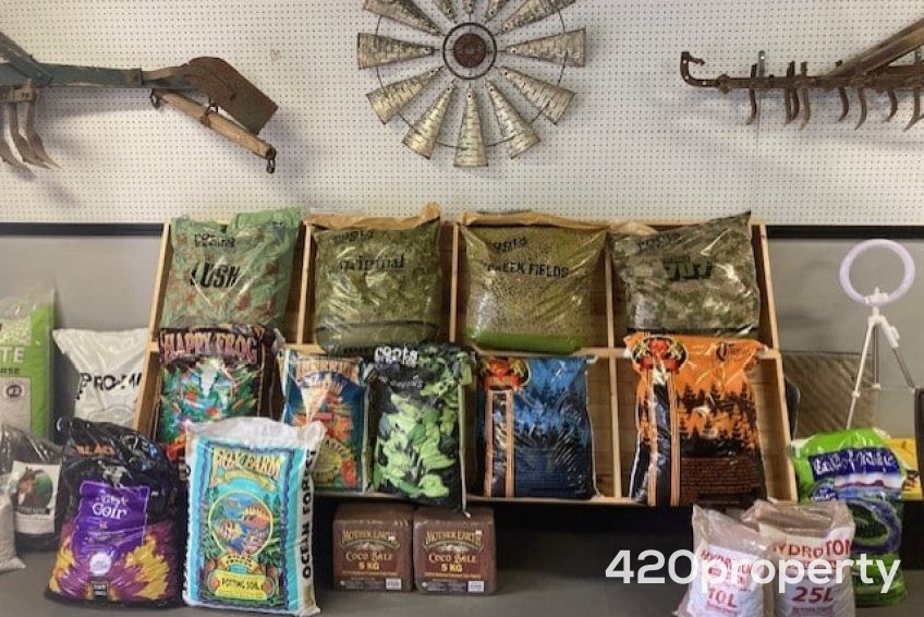 Cannabis Businesses For Sale | Cannabis Retail Stores & Dispensaries For Sale