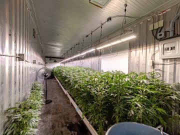 Low Overhead! Fully Licensed Micro Business Opportunity in Humboldt County