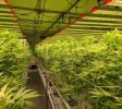 INDOOR CANNABIS GROW FACILITY WITH ACTIVE GROW LICENSE AND APPROVED COO!!