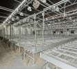 Over 100,000 SF Greenhouse on 13+ Acres