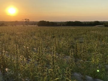 Turn Key 24 Acre Outdoor Farm