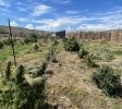 NEW MEXiCO/Full water rights cannabis farm