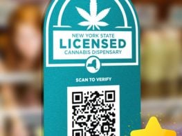 New York Provisional Adult-Use Licenses For Sale