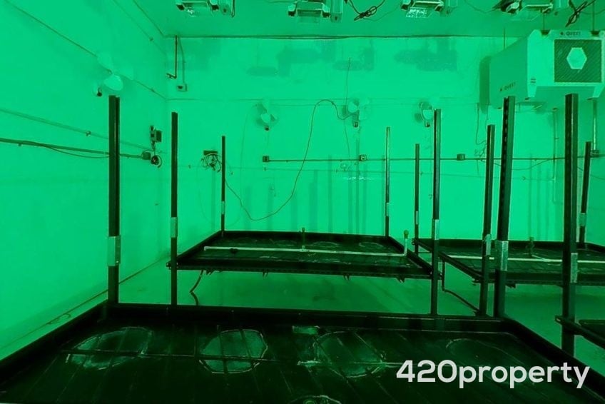 Cannabis Real Estate Listings | Cannabis Greenhouses For Sale