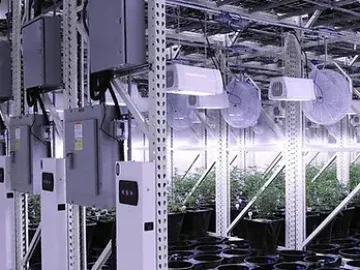 ~50,000 ft.² EU-GMP designed, cannabis cultivation facility for lease/sale in ON!