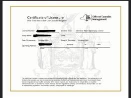 Prime Downtown Rochester Cannabis Dispensary License for Sale or JV $800,000 – Non-Social Equity, Near Nightlife & Music Scene!