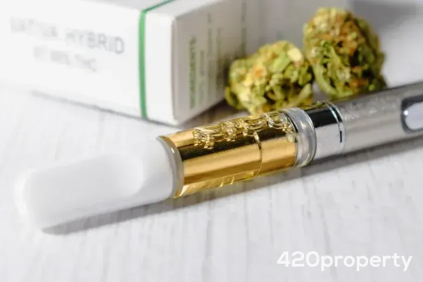 Cannabis Businesses For Sale | Cannabis Manufacturing / Processing Businesses For Sale