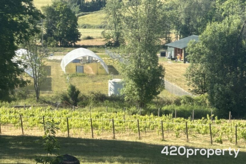 Cannabis Real Estate Listings | Cannabis Greenhouses For Lease