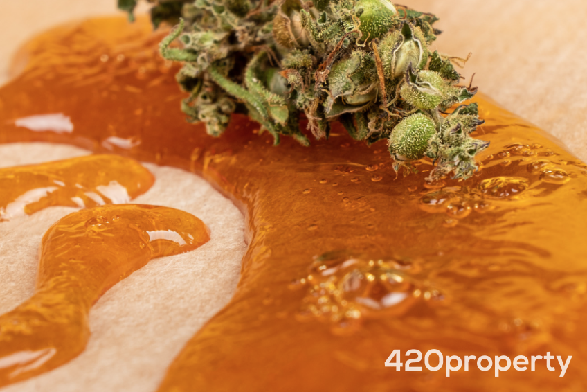 Cannabis Businesses For Sale | Cannabis Manufacturing / Processing Businesses For Sale