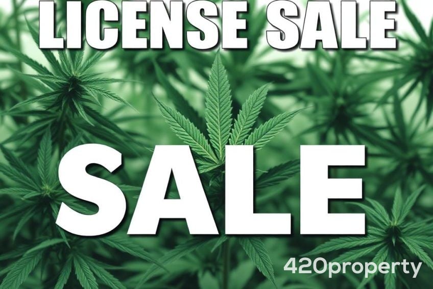 Cannabis Businesses For Sale | Cannabis Cultivation/ Grow Businesses For Sale