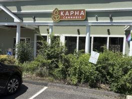 ONLY DISPENSARY IN LENOX MASSACHUSETTS NOW FOR SALE