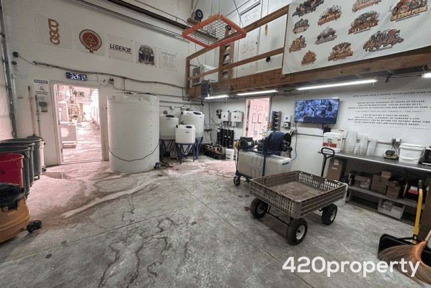 Cannabis Businesses For Sale | Cannabis Cultivation/ Grow Businesses For Sale