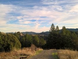 California MEDICINAL LICENSE: Laughing Farm is for sale.