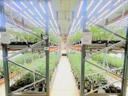 70% SELLER FINANCING!!! 14.2K sq ft Operating Indoor Cultivation for $1.6 M. WE MAY INVEST in your growing business