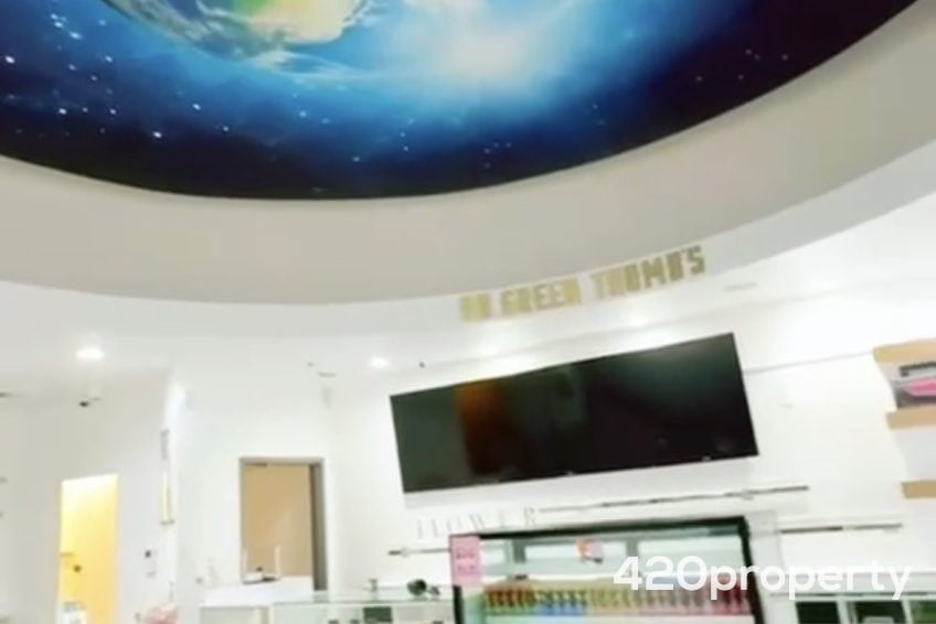 Cannabis Businesses For Sale | Cannabis Retail Stores & Dispensaries For Sale