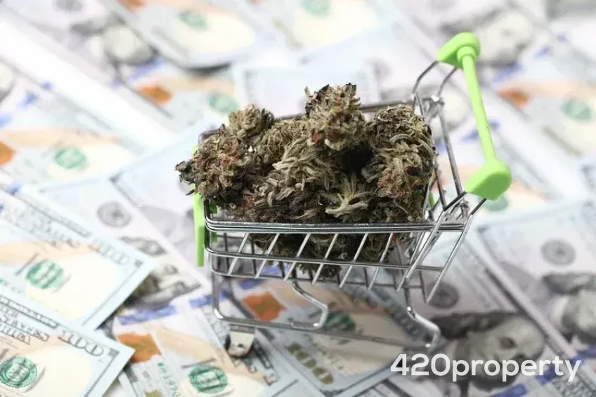 Cannabis Businesses For Sale | Cannabis Delivery Business For Sale