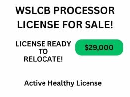 Processor License Only For Sale