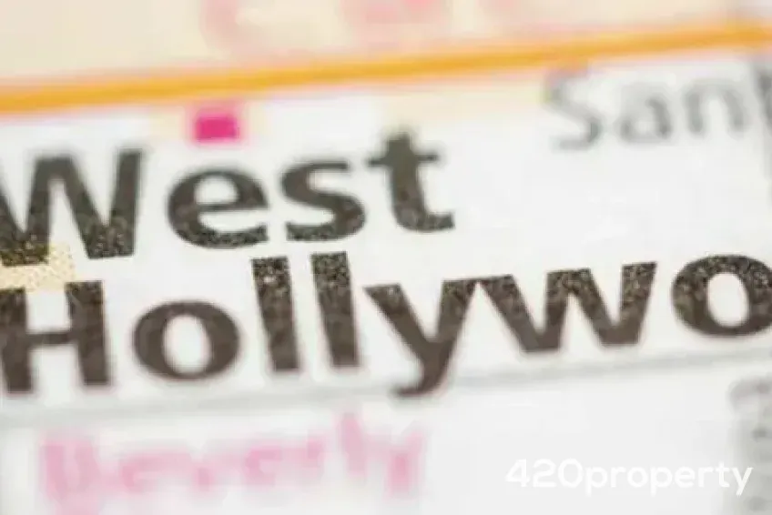 Businesses For Sale | Other Cannabis, CBD, & Hemp Businesses For Sale