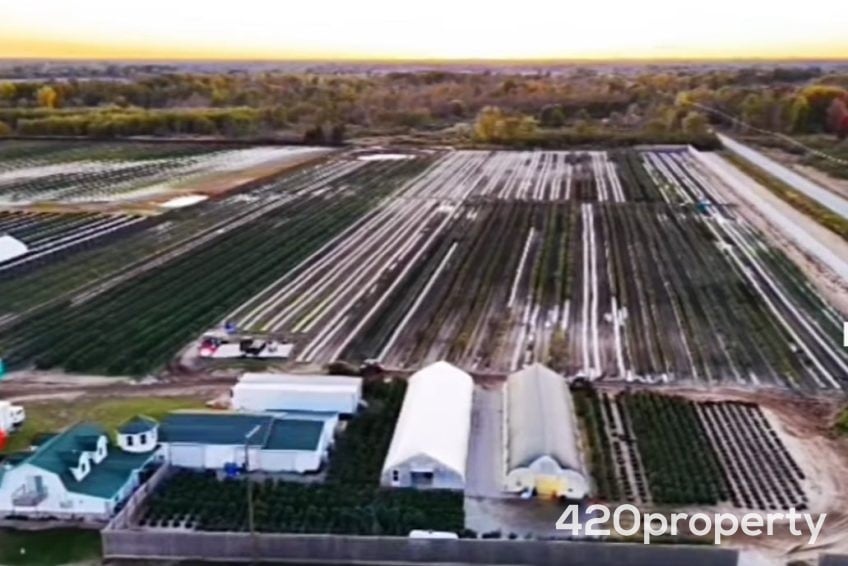 Cannabis Real Estate Listings | Other Commercial Properties for Cannabis Business Use For Sale