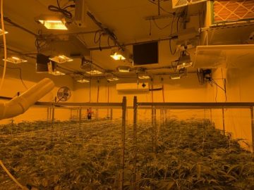 Oklahoma City Operational Industrial Cultivation / R&D Facility – Expansion Ready. Turnkey