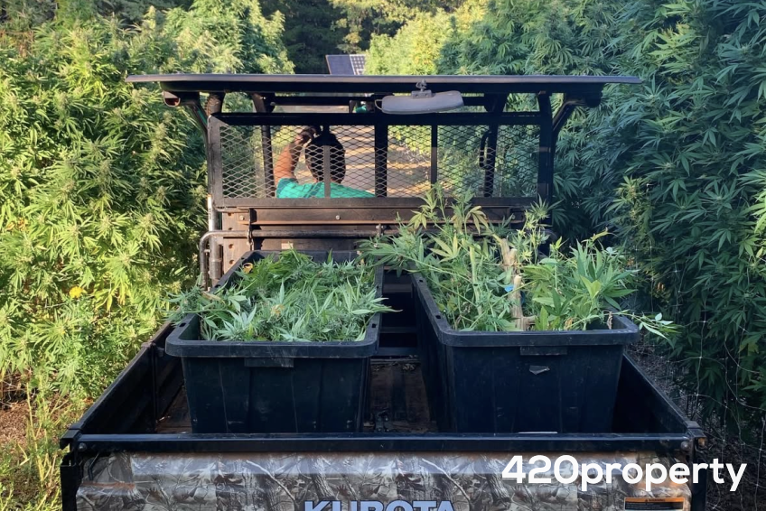 Cannabis Real Estate Listings | Cannabis & Hemp Zoned Land For Lease