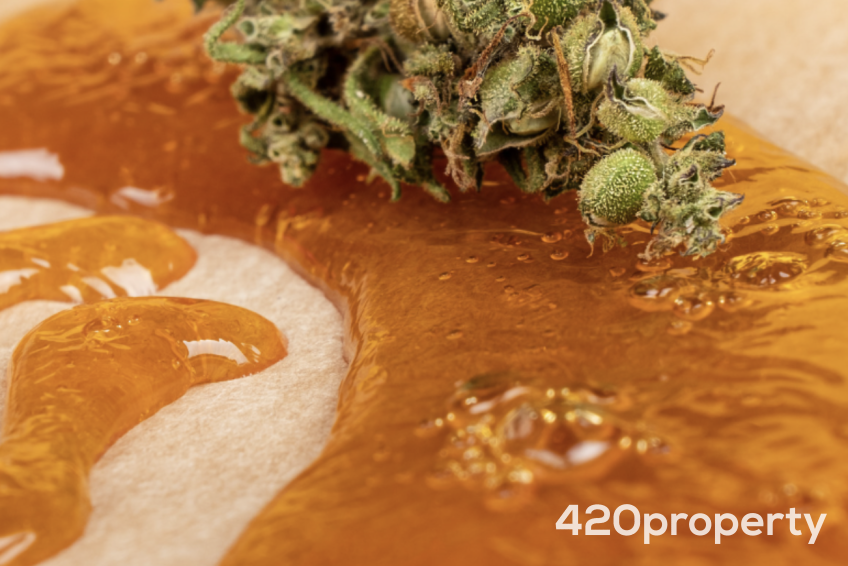 Cannabis Businesses For Sale | Cannabis Manufacturing / Processing Businesses For Sale