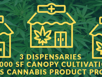 Minnesota General Mezzobusiness License