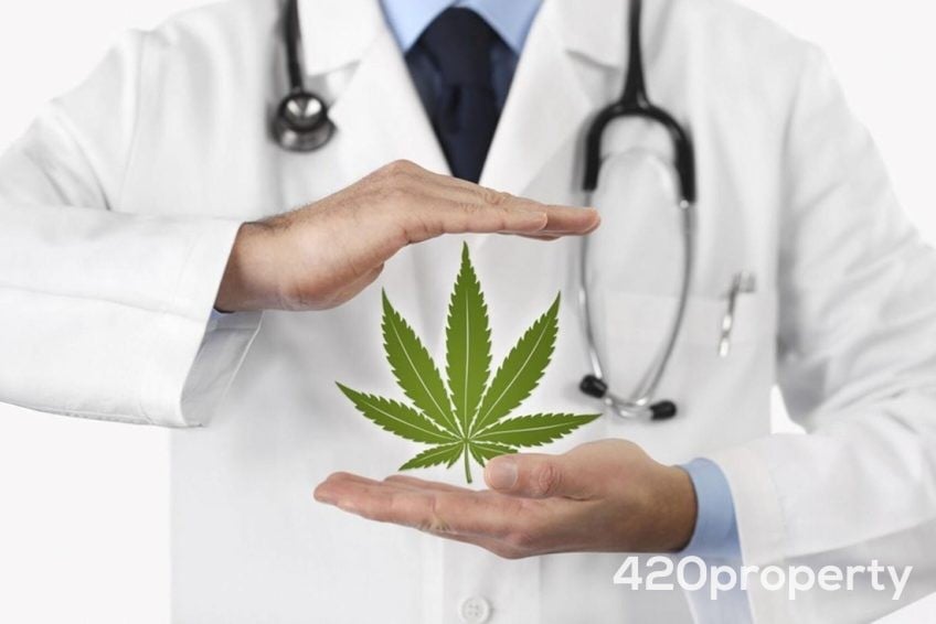 Cannabis Businesses For Sale | Ancillary Cannabis Businesses For Sale