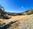 40 +/- Acres Burr Valley Road