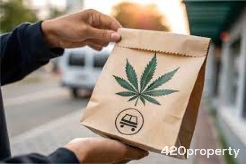 Cannabis Businesses For Sale | Cannabis Delivery Business For Sale