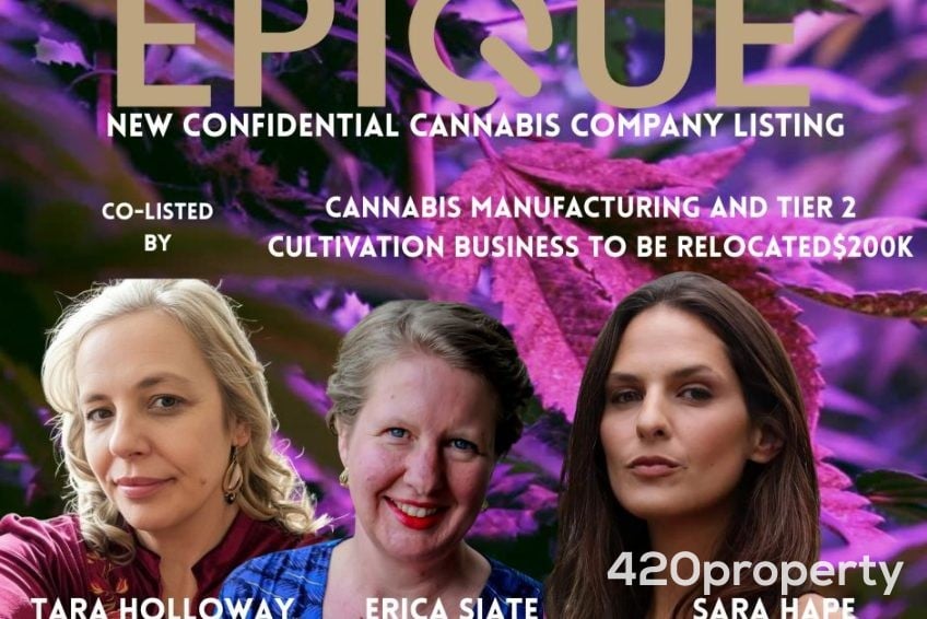 Cannabis Businesses For Sale | Cannabis Manufacturing / Processing Businesses For Sale