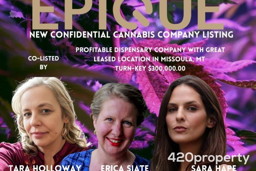 Cannabis Businesses For Sale | Cannabis Retail Stores & Dispensaries For Sale