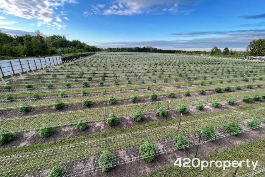 Cannabis Real Estate Listings | Other Commercial Properties for Cannabis Business Use For Sale