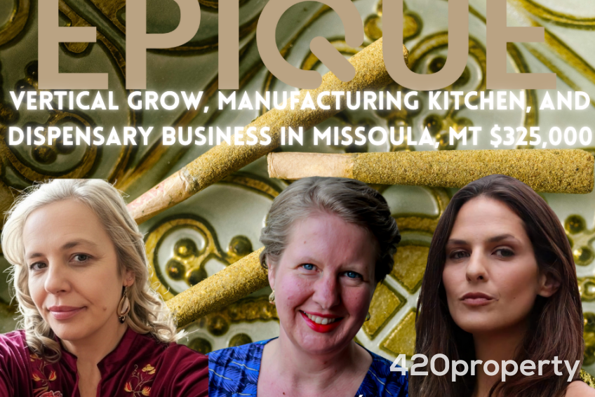 Cannabis Businesses For Sale | Cannabis Retail Stores & Dispensaries For Sale