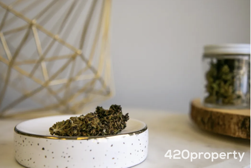 Cannabis Businesses For Sale | Cannabis Retail Stores & Dispensaries For Sale