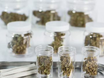 Cannabis Retail Dispensary License Allows Up To 5 Locations To Operate In For Sale (Minnesota, USA) #1958