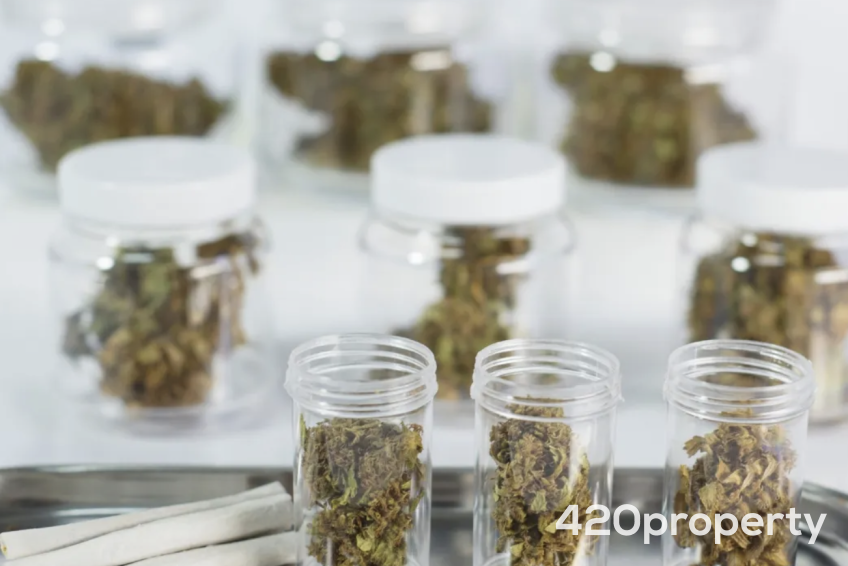 Cannabis Businesses For Sale | Cannabis Retail Stores & Dispensaries For Sale