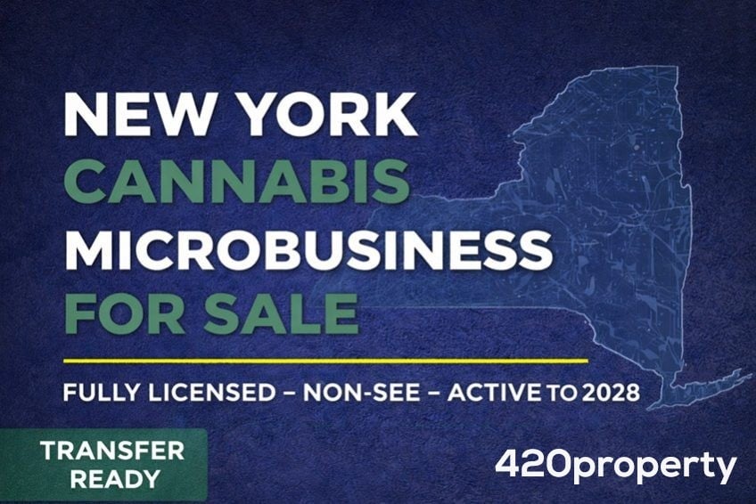 Businesses For Sale | Other Cannabis, CBD, & Hemp Businesses For Sale