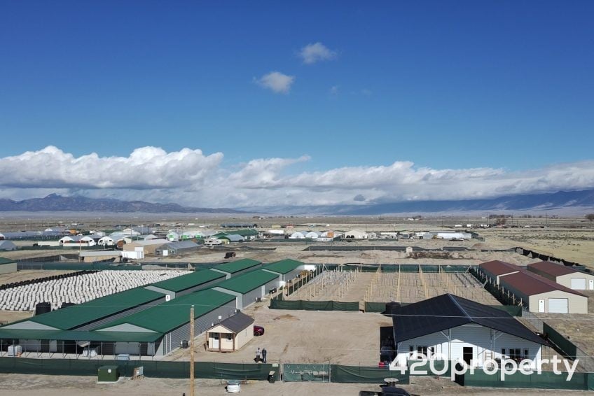 Cannabis Businesses For Sale | Cannabis Cultivation/ Grow Businesses For Sale